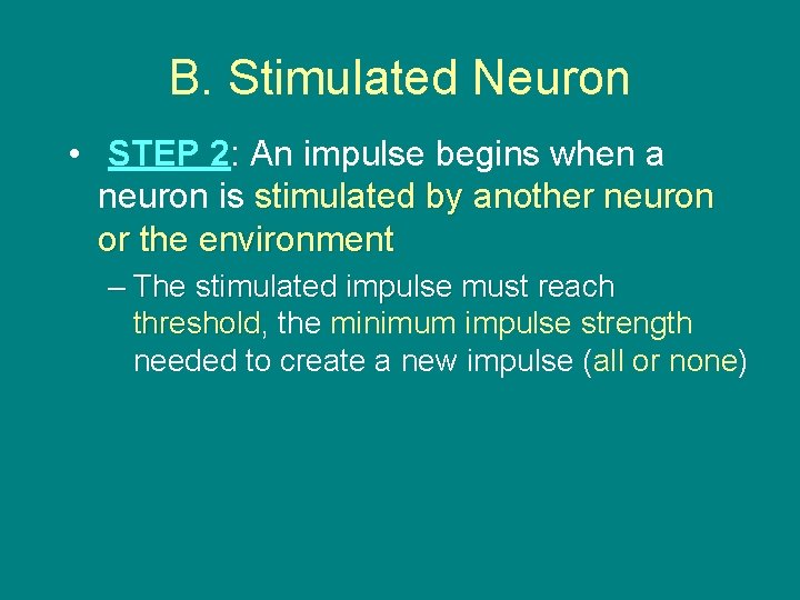 B. Stimulated Neuron • STEP 2: An impulse begins when a neuron is stimulated