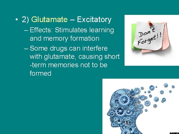  • 2) Glutamate – Excitatory – Effects: Stimulates learning and memory formation –