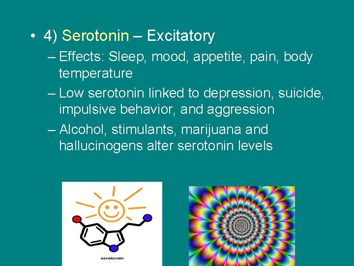  • 4) Serotonin – Excitatory – Effects: Sleep, mood, appetite, pain, body temperature