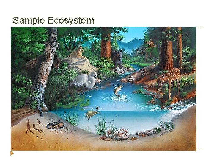 Sample Ecosystem 