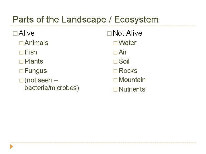 Parts of the Landscape / Ecosystem � Alive � Not Alive � Animals �