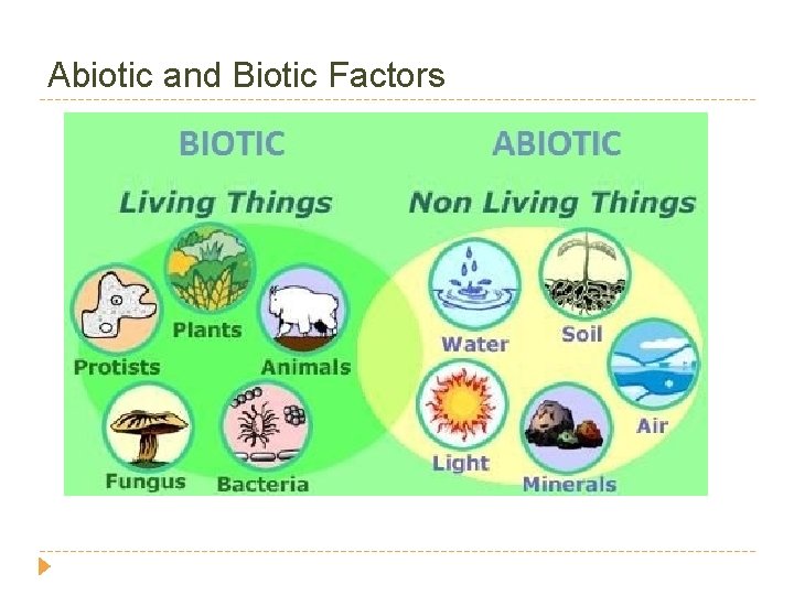 Abiotic and Biotic Factors 