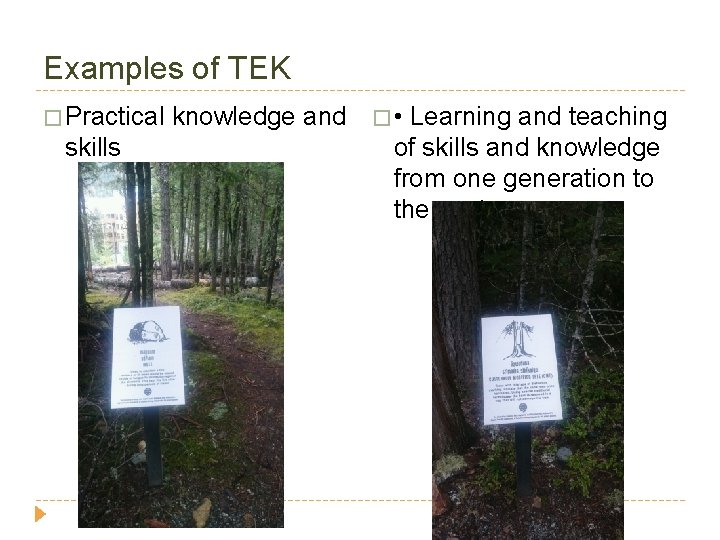Examples of TEK � Practical knowledge and � • Learning and teaching skills of