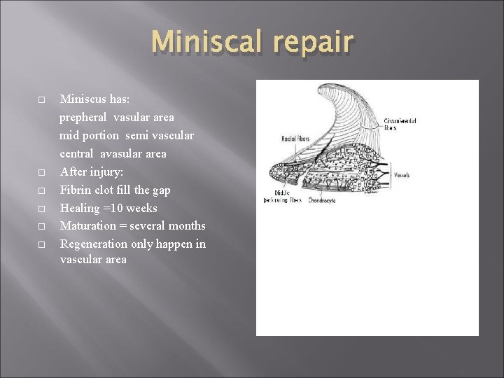 Miniscal repair Miniscus has: prepheral vasular area mid portion semi vascular central avasular area