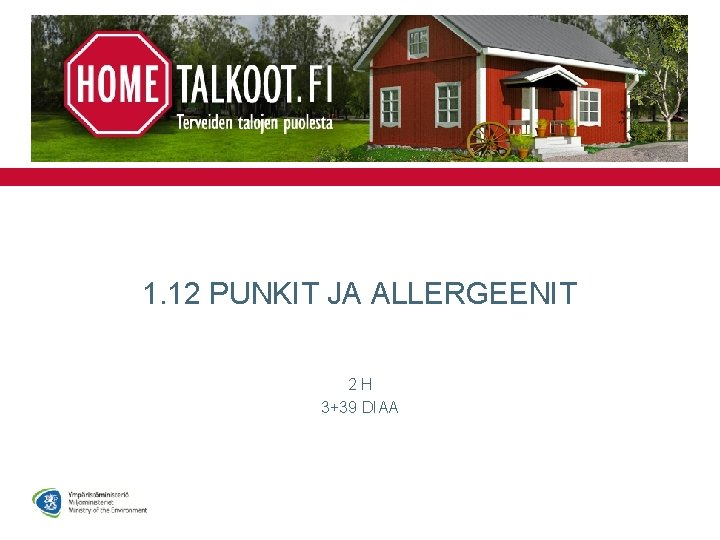 1. 12 PUNKIT JA ALLERGEENIT 2 H 3+39 DIAA 