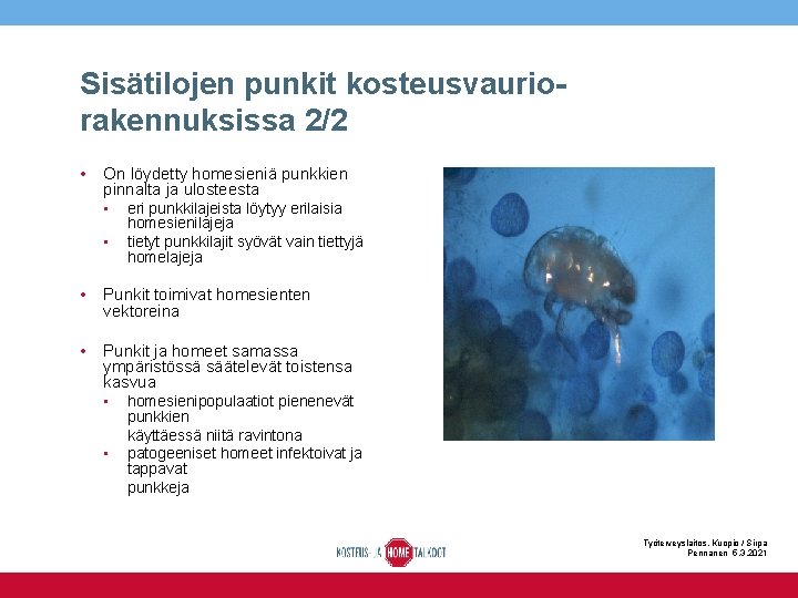 Sisätilojen punkit kosteusvauriorakennuksissa 2/2 • On löydetty homesieniä punkkien pinnalta ja ulosteesta • eri