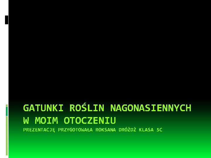 GATUNKI ROŚLIN NAGONASIENNYCH W MOIM OTOCZENIU PREZENTACJĘ PRZYGOTOWAŁA ROKSANA DRÓŻDŻ KLASA 5 C 