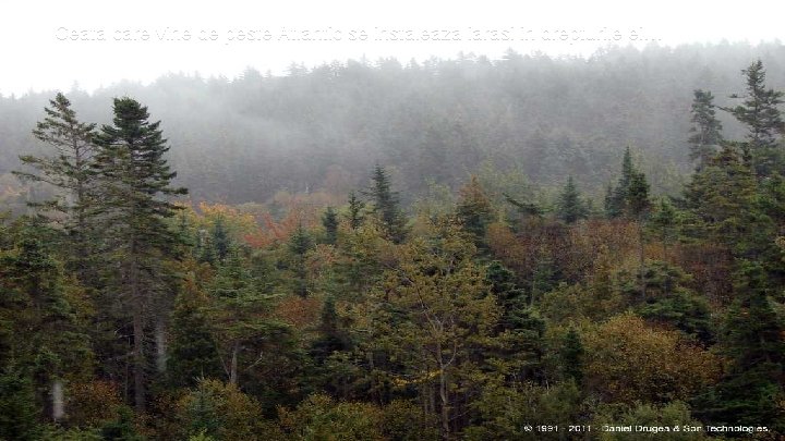 Ceata care vine de peste Atlantic se instaleaza iarasi in drepturile ei… 