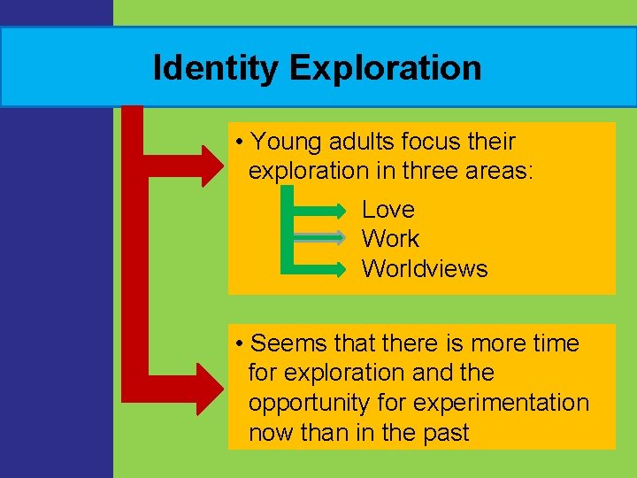 Identity Exploration • Young adults focus their exploration in three areas: Love Work Worldviews