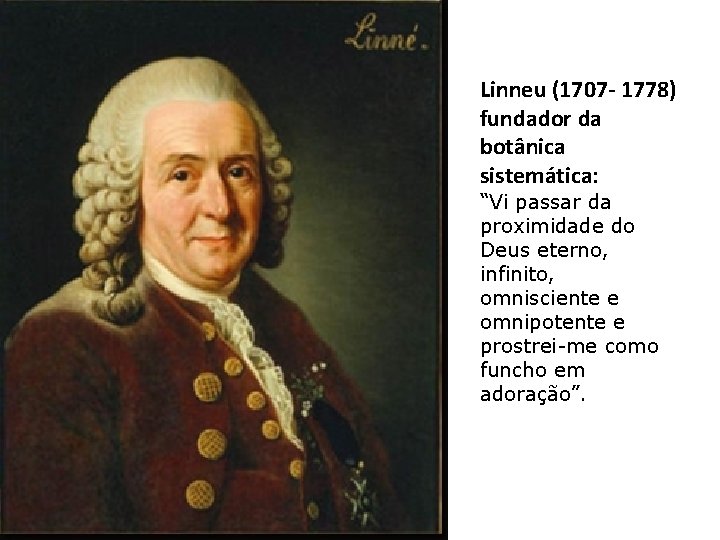 Linneu (1707 - 1778) fundador da botânica sistemática: “Vi passar da proximidade do Deus