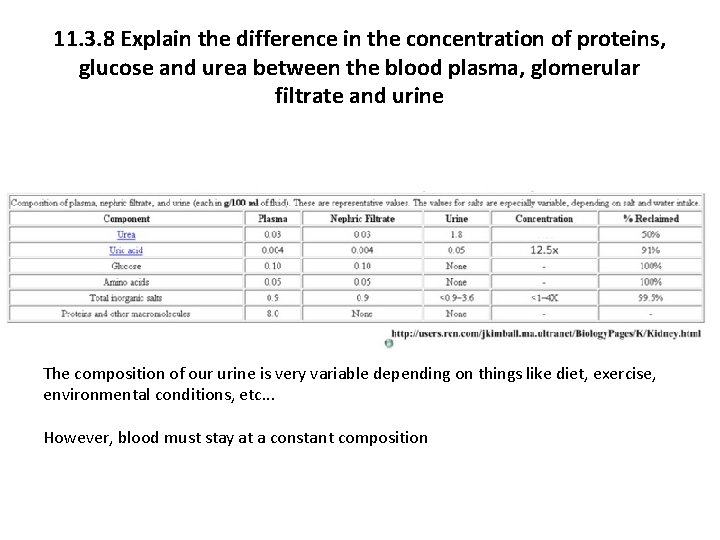 11. 3. 8 Explain the difference in the concentration of proteins, glucose and urea
