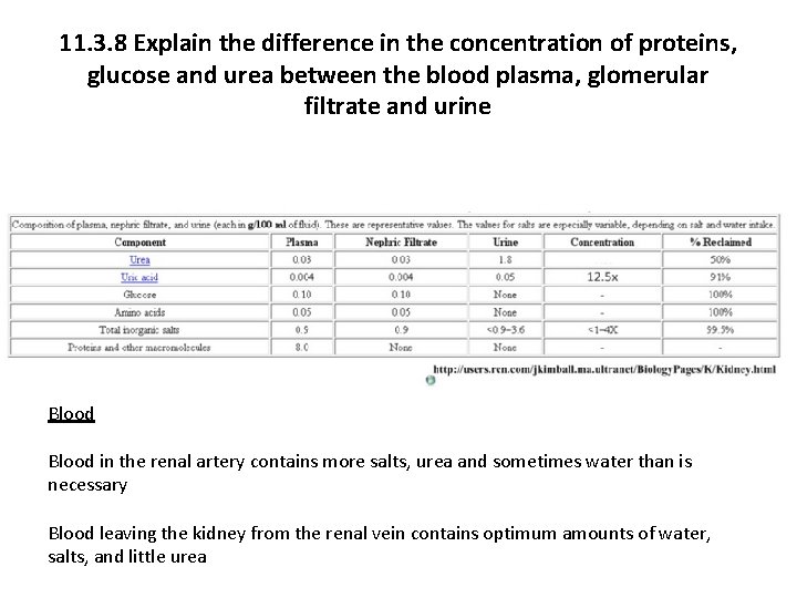 11. 3. 8 Explain the difference in the concentration of proteins, glucose and urea