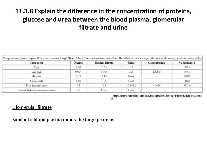 11. 3. 8 Explain the difference in the concentration of proteins, glucose and urea
