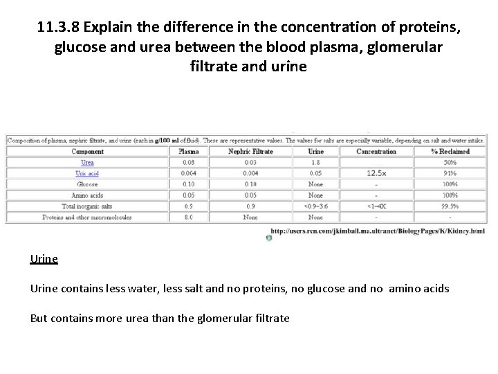 11. 3. 8 Explain the difference in the concentration of proteins, glucose and urea