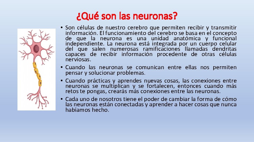 ¿Qué son las neuronas? • Son células de nuestro cerebro que permiten recibir y ¿Qué son las neuronas? • Son células de nuestro cerebro que permiten recibir y