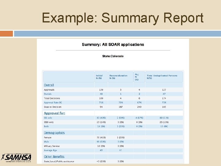 Example: Summary Report 