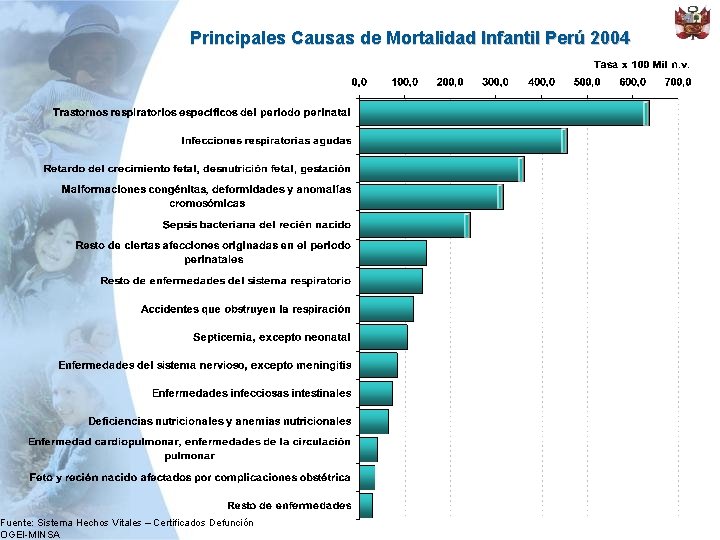 Principales Causas de Mortalidad Infantil Perú 2004 Fuente: Sistema Hechos Vitales – Certificados Defunción