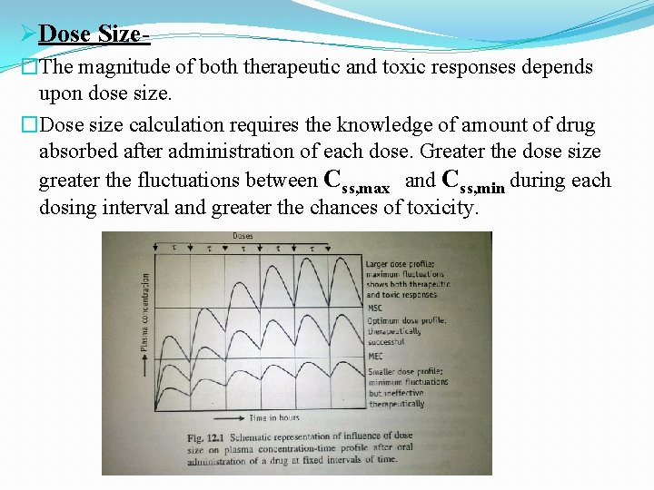 ØDose Size�The magnitude of both therapeutic and toxic responses depends upon dose size. �Dose