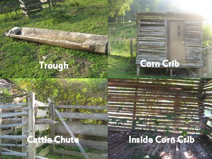Trough Corn Crib Cattle Chute Inside Corn Crib 