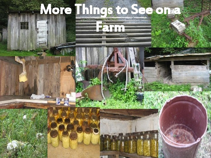 More Things to See on a Farm 