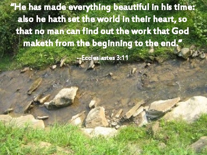 “He has made everything beautiful in his time: also he hath set the world