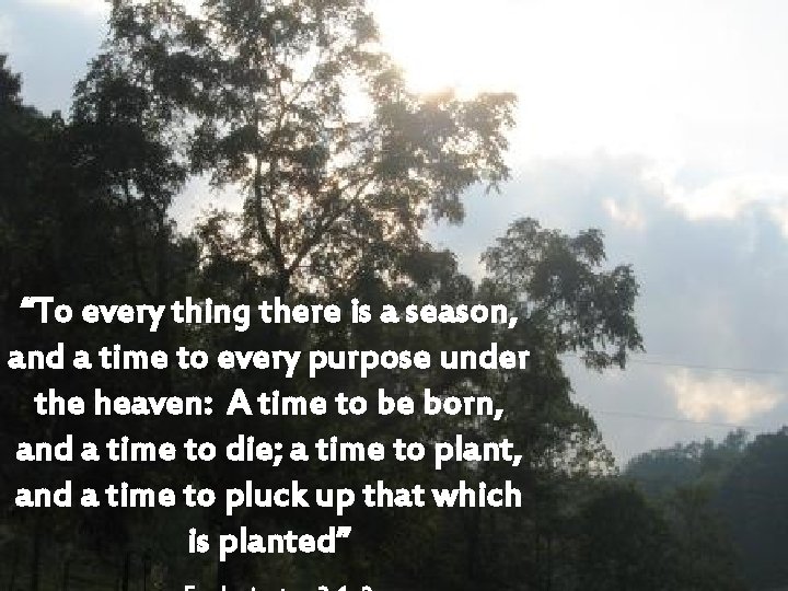 “To every thing there is a season, and a time to every purpose under