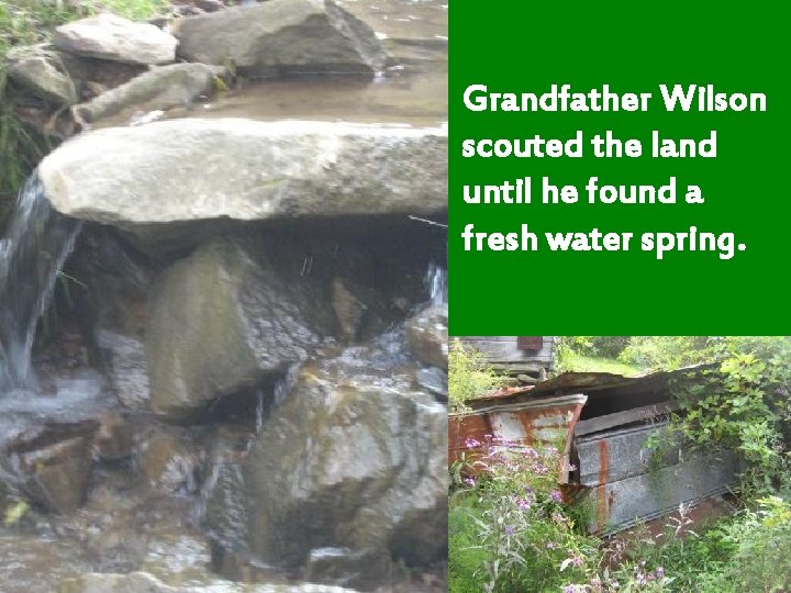 Grandfather Wilson scouted the land until he found a fresh water spring. 