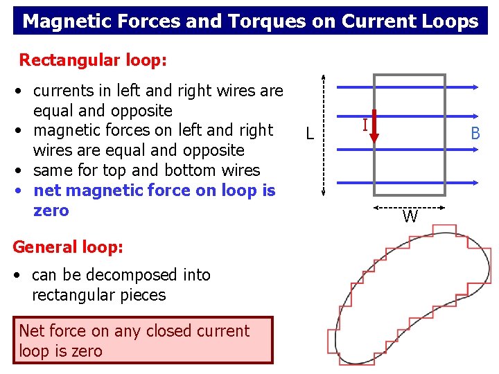 Magnetic Forces and Torques on Current Loops Rectangular loop: • currents in left and