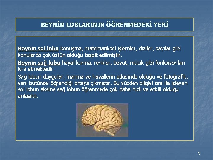 BEYNİN LOBLARININ ÖĞRENMEDEKİ YERİ Beynin sol lobu konuşma, matematiksel işlemler, diziler, sayılar gibi konularda