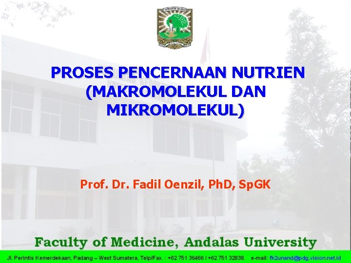 PROSES PENCERNAAN NUTRIEN (MAKROMOLEKUL DAN MIKROMOLEKUL) Prof. Dr. Fadil Oenzil, Ph. D, Sp. GK