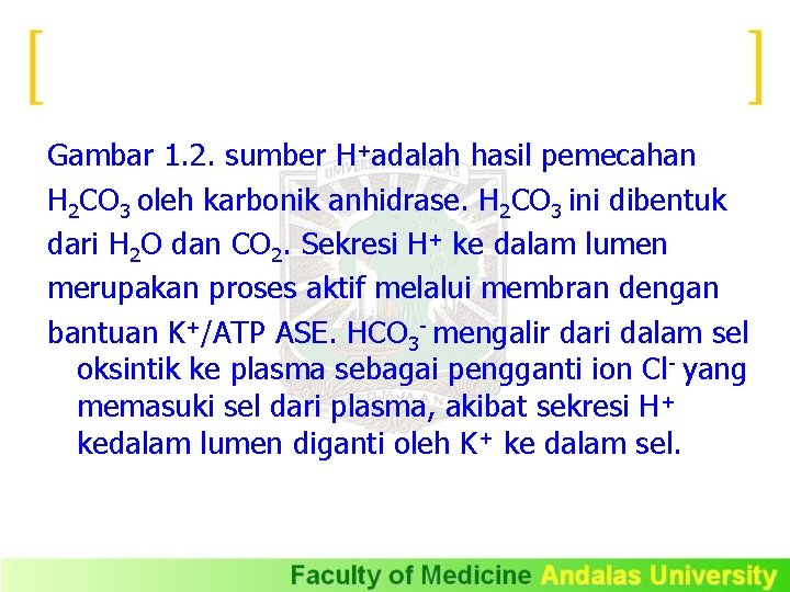 Gambar 1. 2. sumber H+adalah hasil pemecahan H 2 CO 3 oleh karbonik anhidrase.