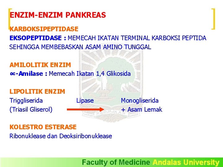 ENZIM-ENZIM PANKREAS KARBOKSIPEPTIDASE EKSOPEPTIDASE : MEMECAH IKATAN TERMINAL KARBOKSI PEPTIDA SEHINGGA MEMBEBASKAN ASAM AMINO