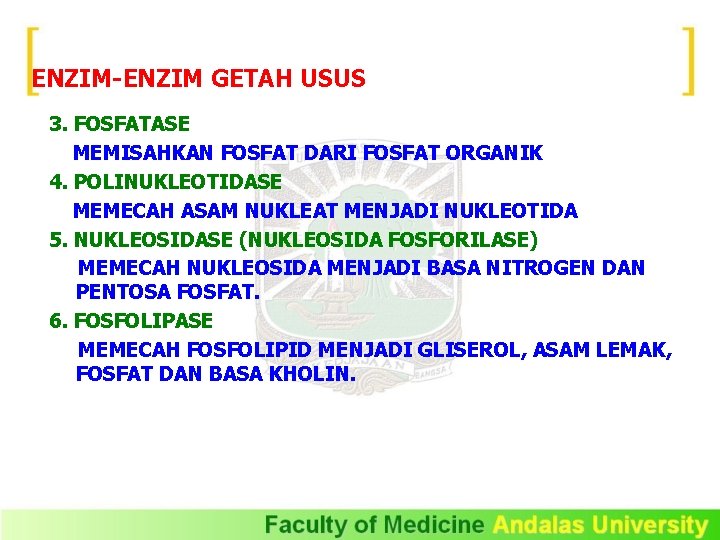 ENZIM-ENZIM GETAH USUS 3. FOSFATASE MEMISAHKAN FOSFAT DARI FOSFAT ORGANIK 4. POLINUKLEOTIDASE MEMECAH ASAM