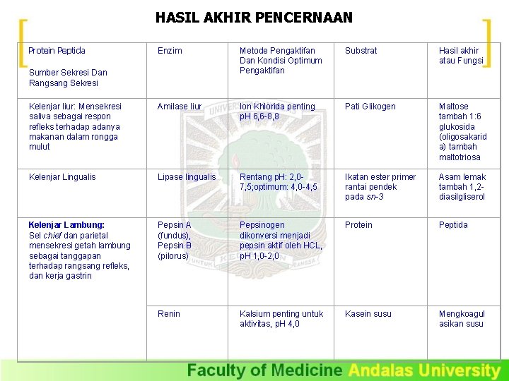 HASIL AKHIR PENCERNAAN Protein Peptida Enzim Metode Pengaktifan Dan Kondisi Optimum Pengaktifan Substrat Hasil