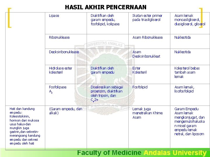 HASIL AKHIR PENCERNAAN Hati dan kandung empedu: Kolesistokinin, hormon dari mukosa usus halus-dan mungkin