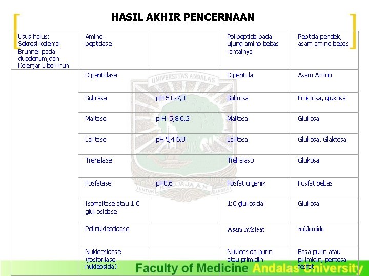 HASIL AKHIR PENCERNAAN Usus halus: Sekresi kelenjar Brunner pada duodenum, dan Kelenjar Liberkhun Aminopeptidase