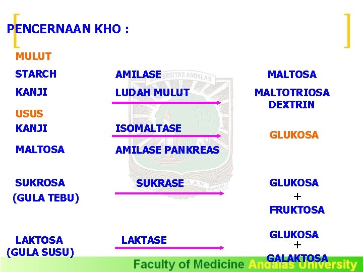 PENCERNAAN KHO : MULUT STARCH AMILASE KANJI LUDAH MULUT USUS KANJI ISOMALTASE MALTOSA AMILASE