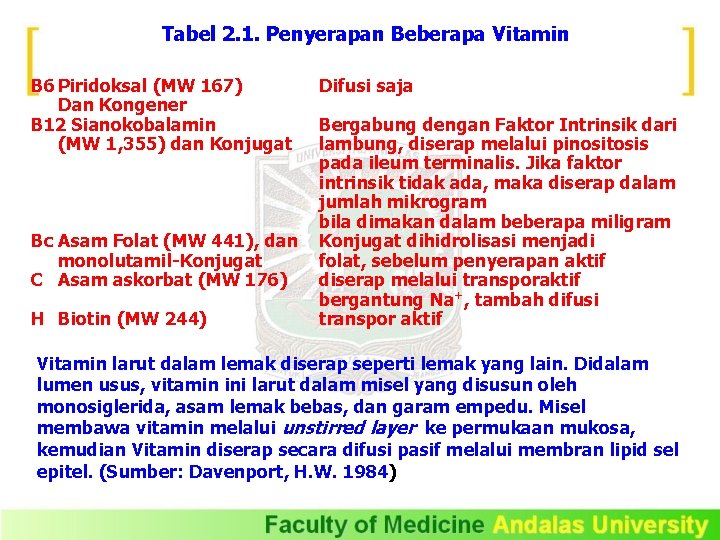 Tabel 2. 1. Penyerapan Beberapa Vitamin B 6 Piridoksal (MW 167) Dan Kongener B