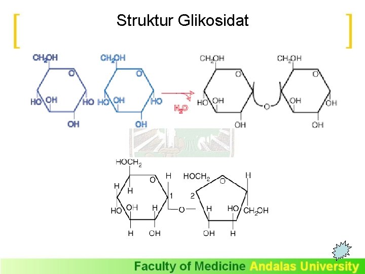 Struktur Glikosidat 