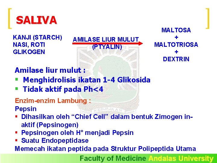 SALIVA KANJI (STARCH) NASI, ROTI GLIKOGEN AMILASE LIUR MULUT (PTYALIN) MALTOSA + MALTOTRIOSA +