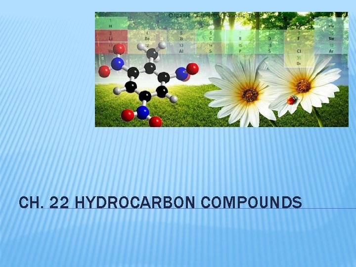 CH. 22 HYDROCARBON COMPOUNDS 