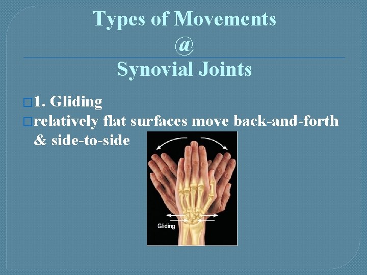 Types of Movements @ Synovial Joints � 1. Gliding �relatively flat surfaces move back-and-forth