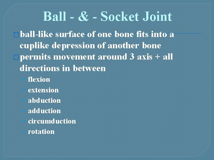 Ball - & - Socket Joint �ball-like surface of one bone fits into a