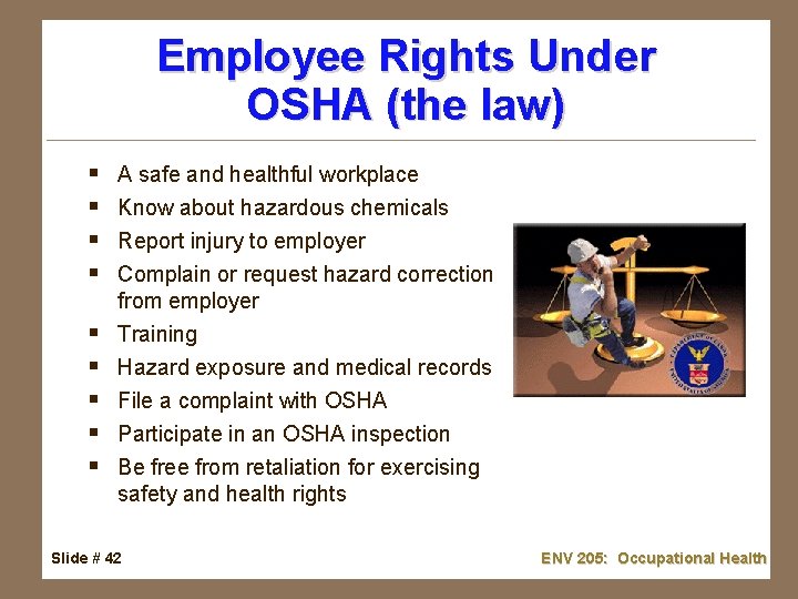 Employee Rights Under OSHA (the law) § § § § § A safe and