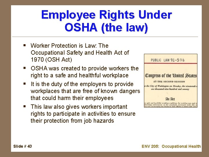 Employee Rights Under OSHA (the law) § Worker Protection is Law: The Occupational Safety