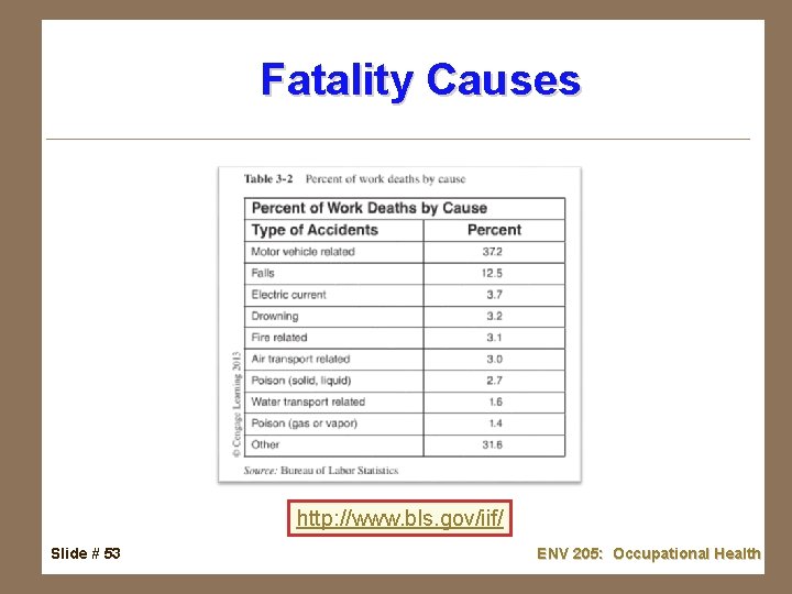 Fatality Causes http: //www. bls. gov/iif/ Slide # 53 ENV 205: Occupational Health 