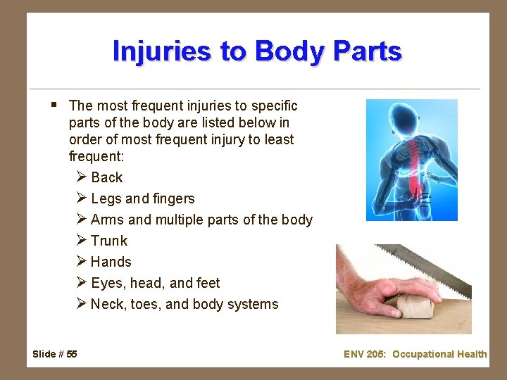 Injuries to Body Parts § The most frequent injuries to specific parts of the