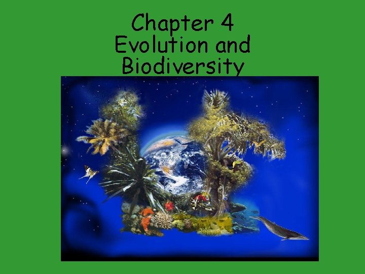 Chapter 4 Evolution and Biodiversity 