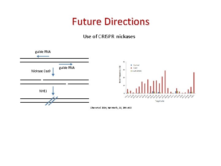 Future Directions Use of CRISPR nickases guide RNA Nickase Cas 9 guide RNA NHEJ