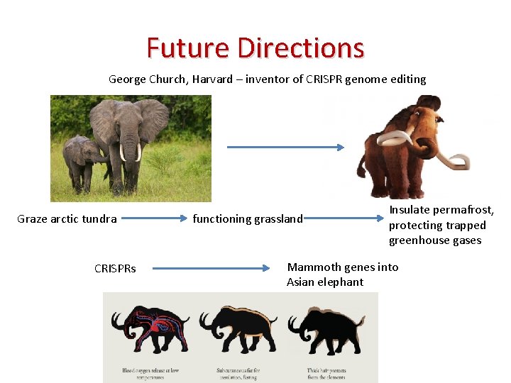 Future Directions George Church, Harvard – inventor of CRISPR genome editing Graze arctic tundra